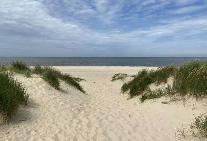 Zp 508   Camping De Zandput