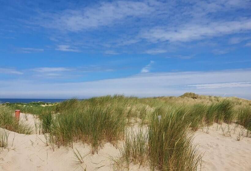 Zp 508   Camping De Zandput