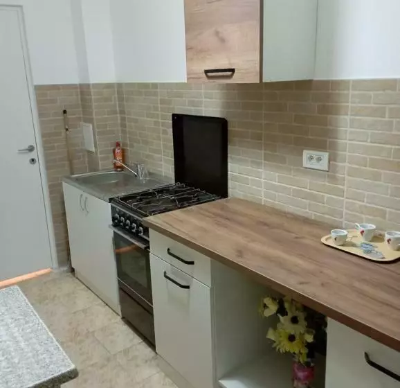 Apartament Herculane Cu Vedere La Munte