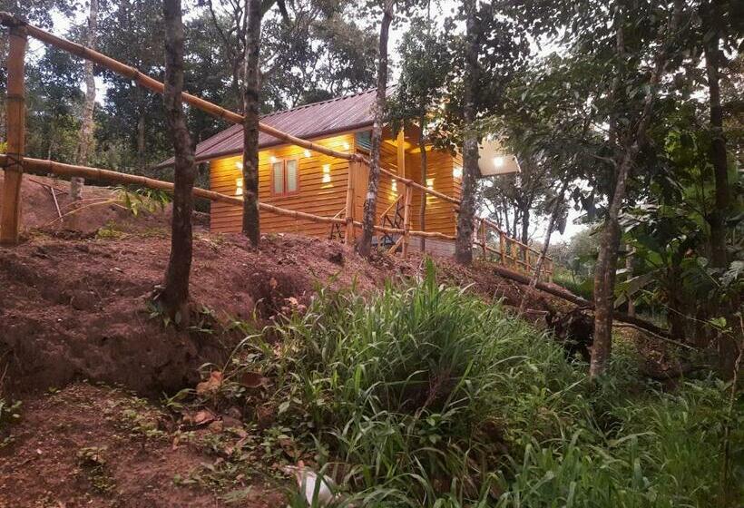 Mountainmist Wooden Cottages