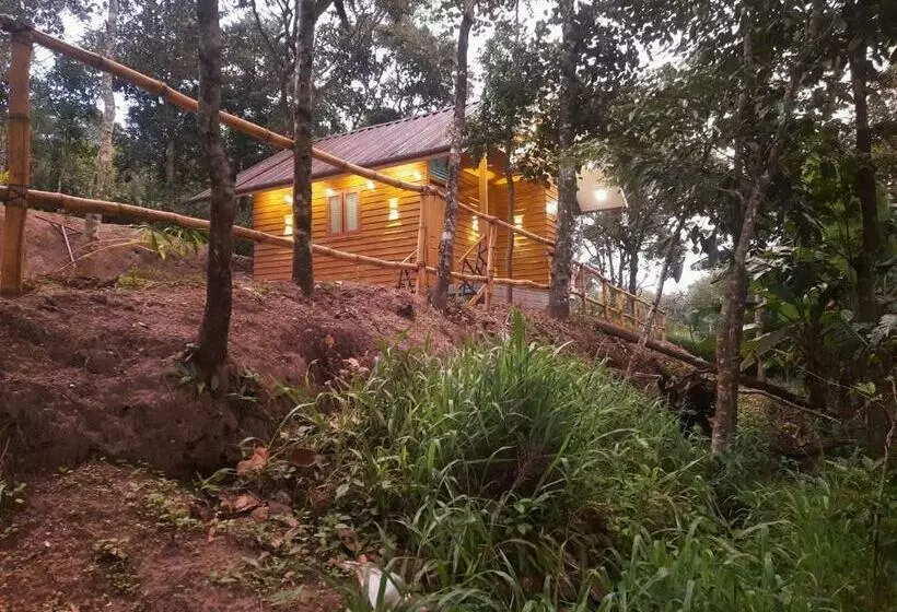 Mountainmist Wooden Cottages