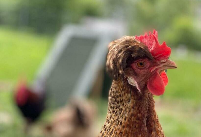 #schlummerplatz Emily