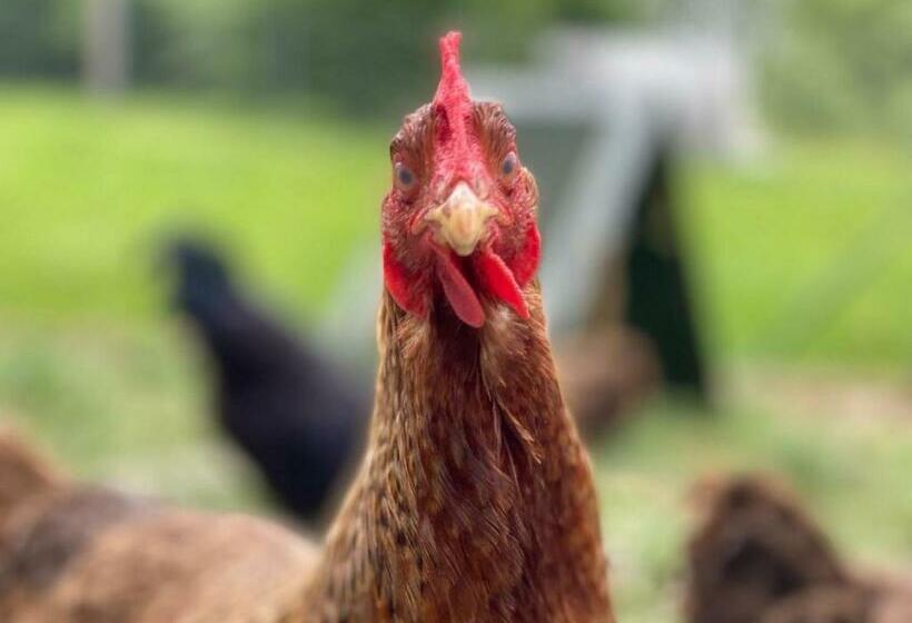 #schlummerplatz Emily