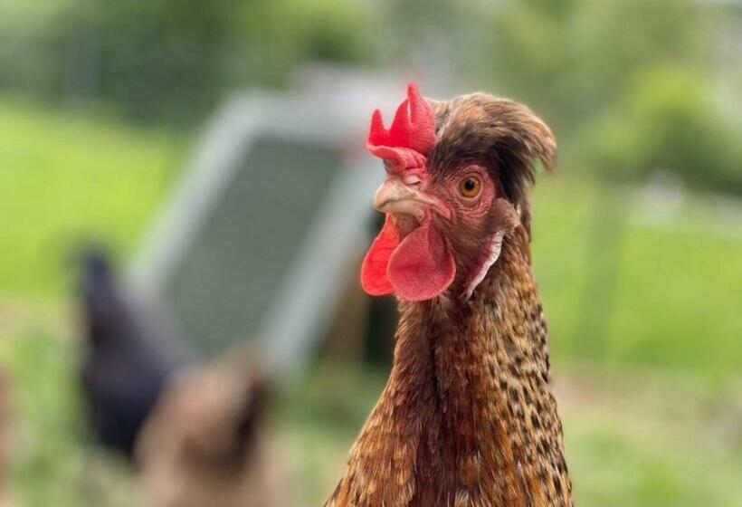 #schlummerplatz Emily