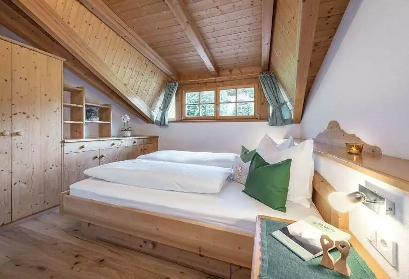 Bergblick App Fichte