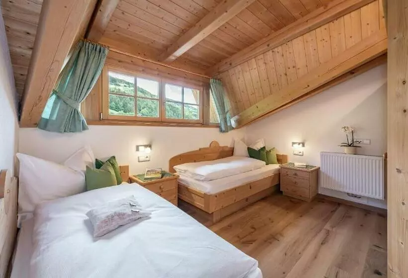 Bergblick App Fichte