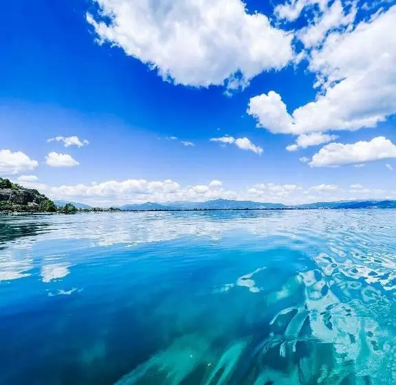 Luxury Apartment Struga