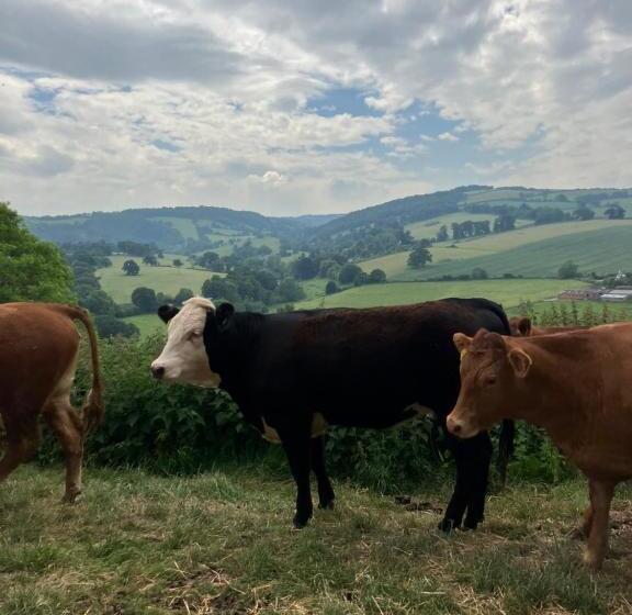 Barn In Somerset Romantic Hideaway