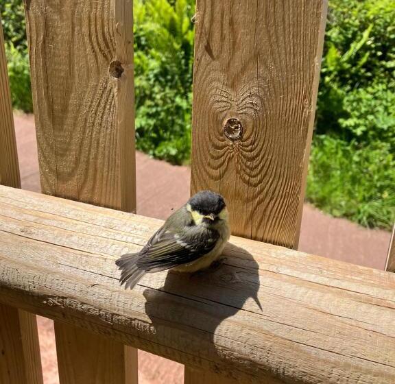 Barn In Somerset Romantic Hideaway