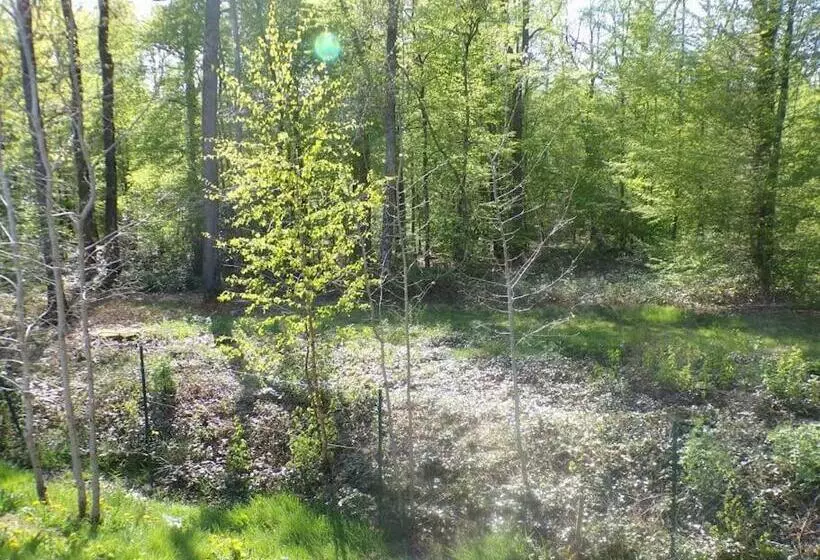 Chalet En Bordure De Forêt