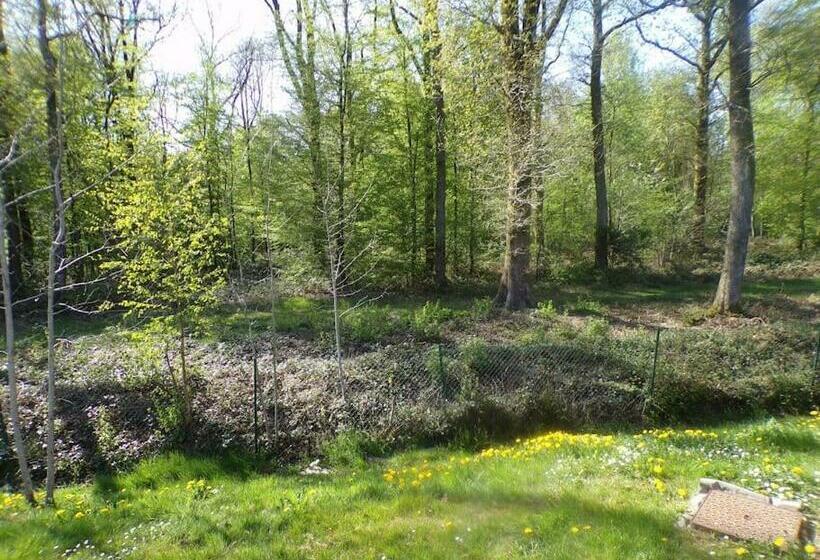 Chalet En Bordure De Forêt