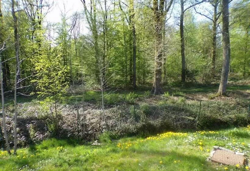 Chalet En Bordure De Forêt