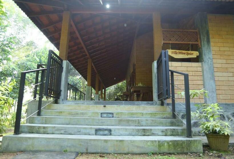 Villa Wave Spice