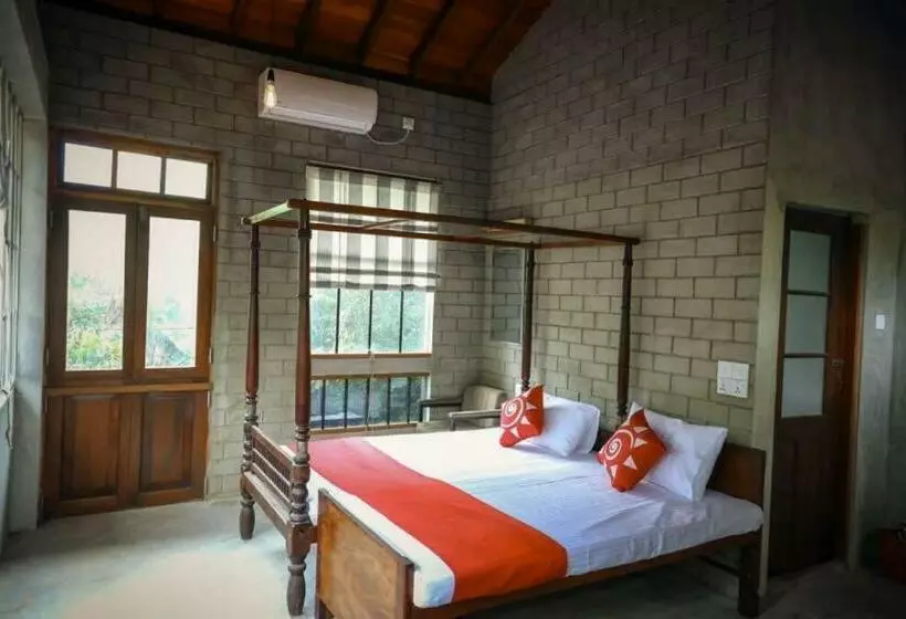 Villa Wave Spice