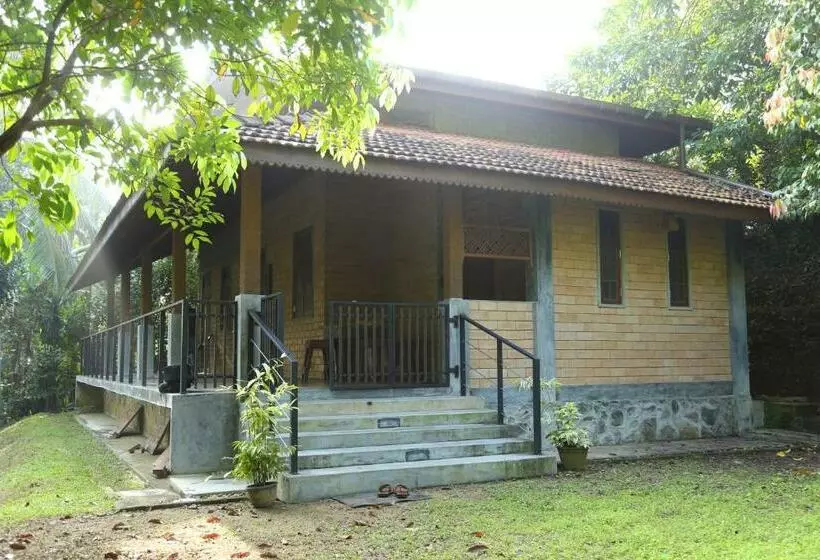 Villa Wave Spice