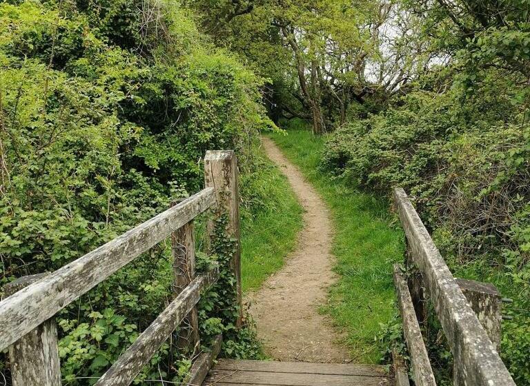 Rusty Shepherds Hut Sleeps Up To 4