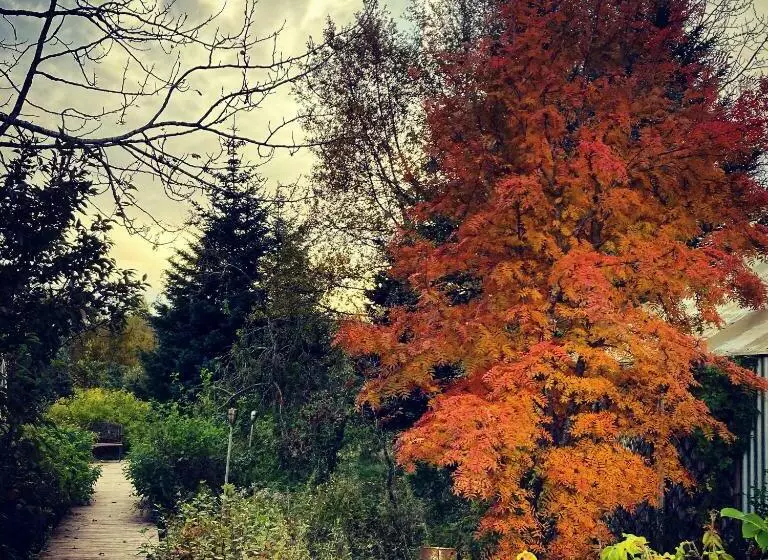 Enchanting Country Home With Backyard Hotspring