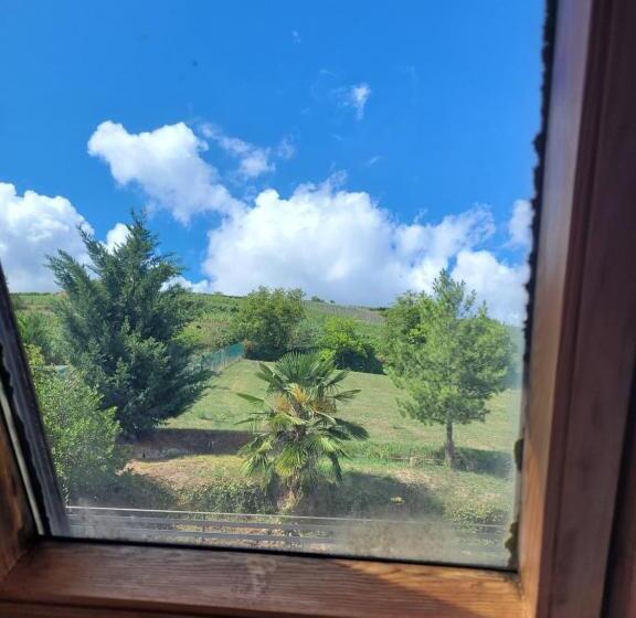 Les Terrasses Du Zinnkoepflé