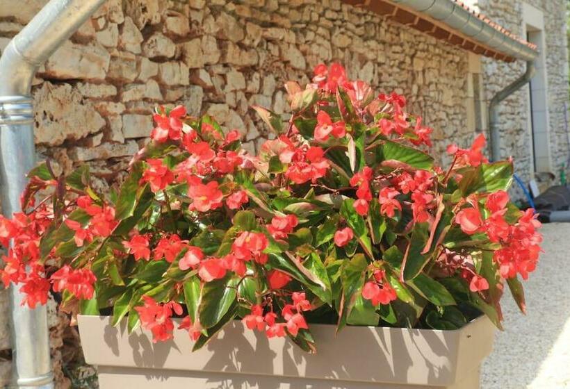 Ancienne Ferme Typique Du Périgord   Gite Du Pas De La Mignonne
