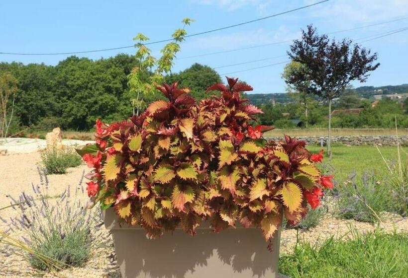 Ancienne Ferme Typique Du Périgord   Gite Du Pas De La Mignonne