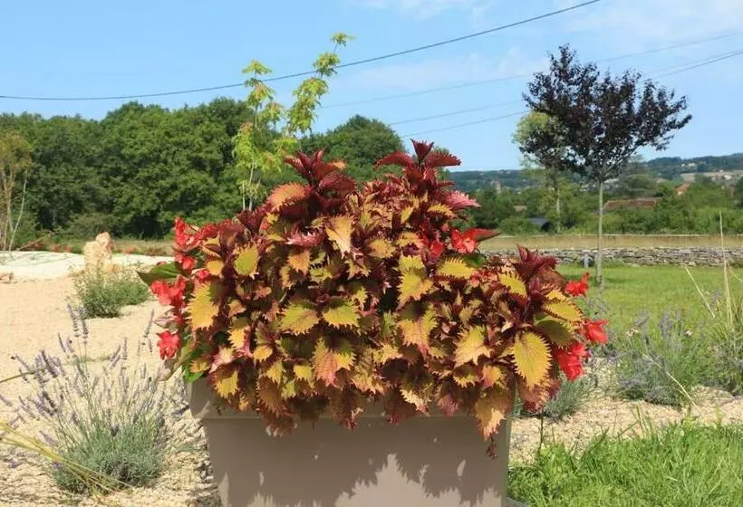 Ancienne Ferme Typique Du Périgord Gite Du Pas De La Mignonne