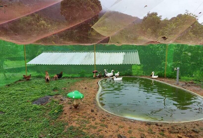 Casa Riverdale Farm Stay