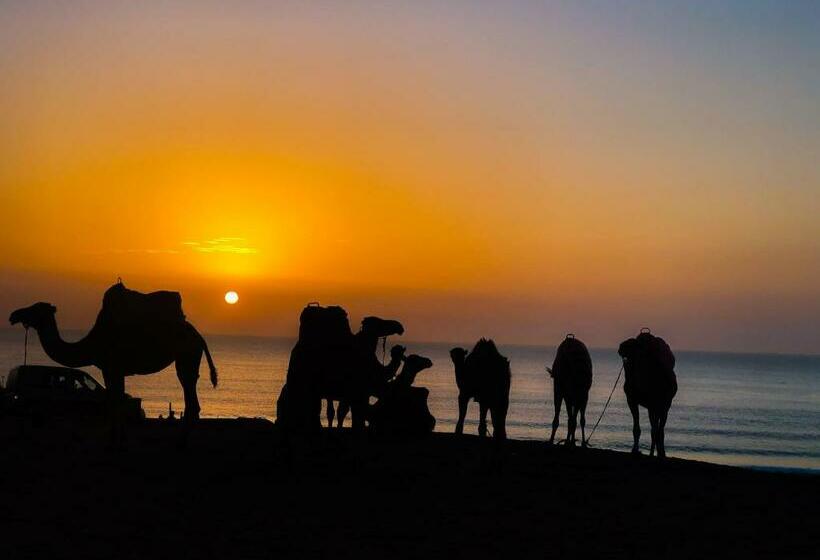 Fantastique Appartement Avec Piscine Sur La Plage M2