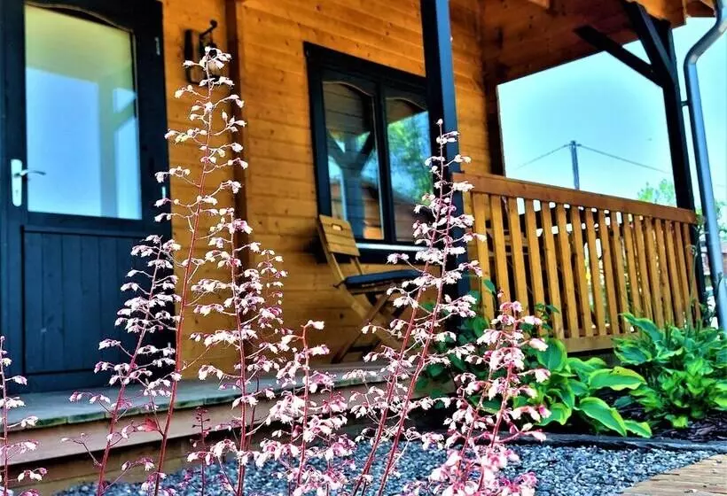 The Malvern Hills Courtyard Cabins