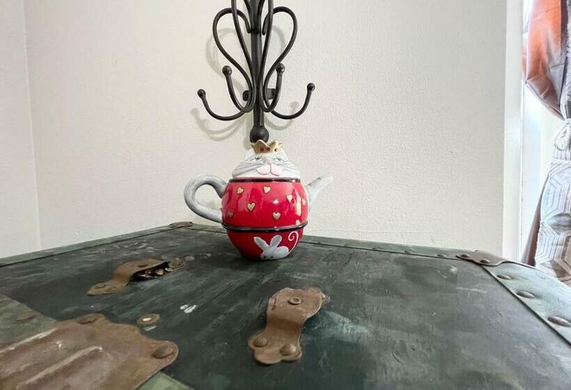 Alice The Wonderland Experience