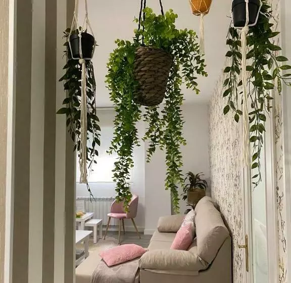 Aire De Sanabria Puebla