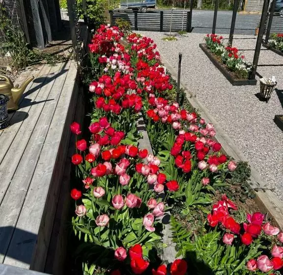 Fantastisk Vätterutsikt Mellan Habo Och Bankeryd