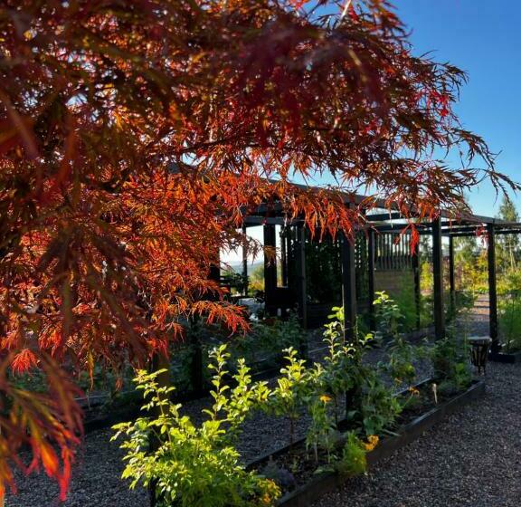 Fantastisk Vätterutsikt Mellan Habo Och Bankeryd