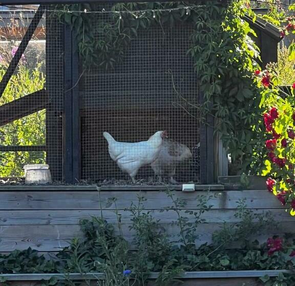 Fantastisk Vätterutsikt Mellan Habo Och Bankeryd