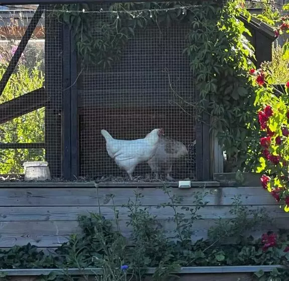 Fantastisk Vätterutsikt Mellan Habo Och Bankeryd