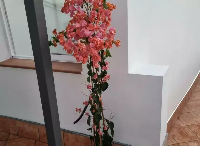 Santiago Del Teide Room