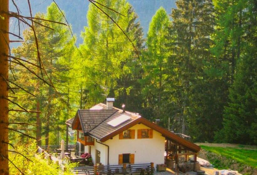 Villa Bosca   Adults Only