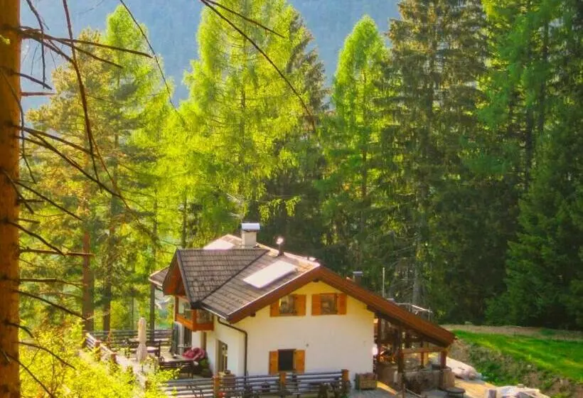 Villa Bosca   Adults Only
