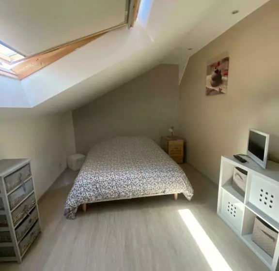 City Loft