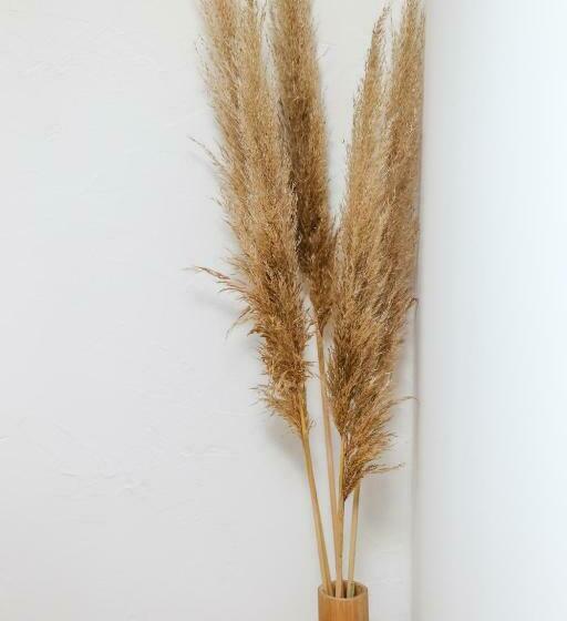 L Aristide #hypercentre #paisible