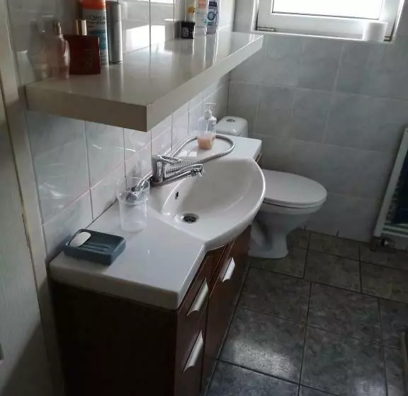 Vilnius Cat Friendly