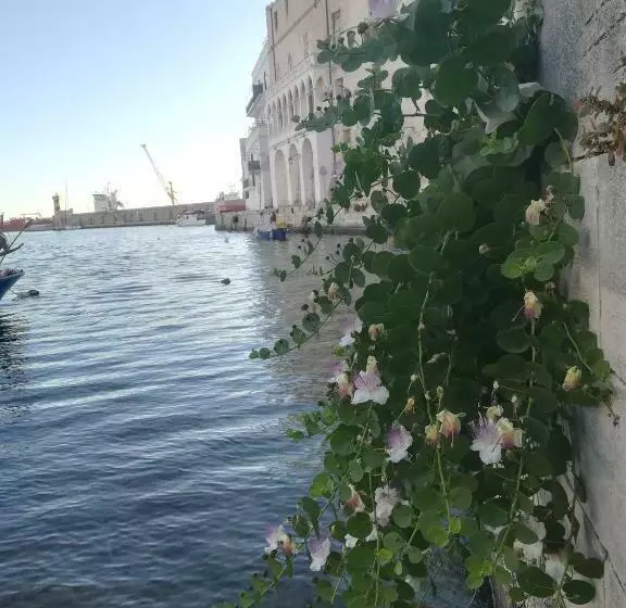 Kasamare  Monopoli