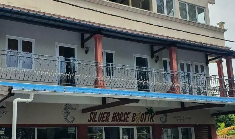 Silver Horse