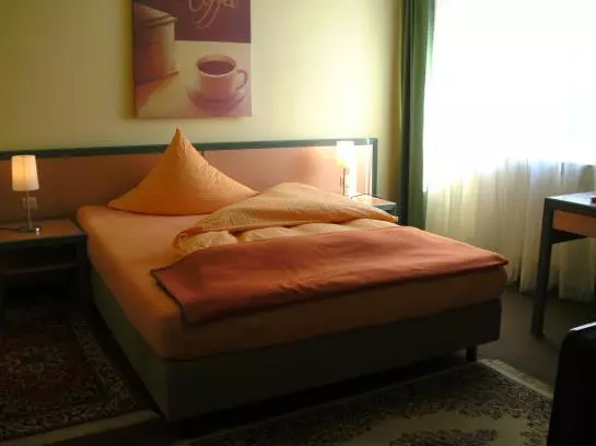 فندق Altes Casino