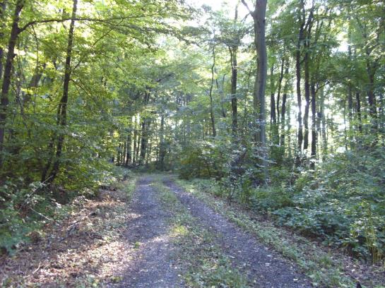 فندق Altes Casino