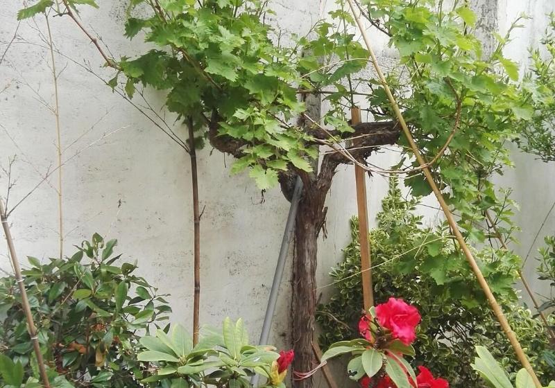 فندق Hôtel Cinépole   Proche Paris