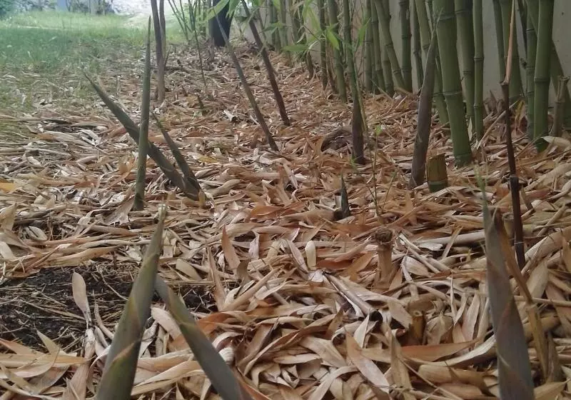 Отель Hôtel Cinépole   Proche Paris