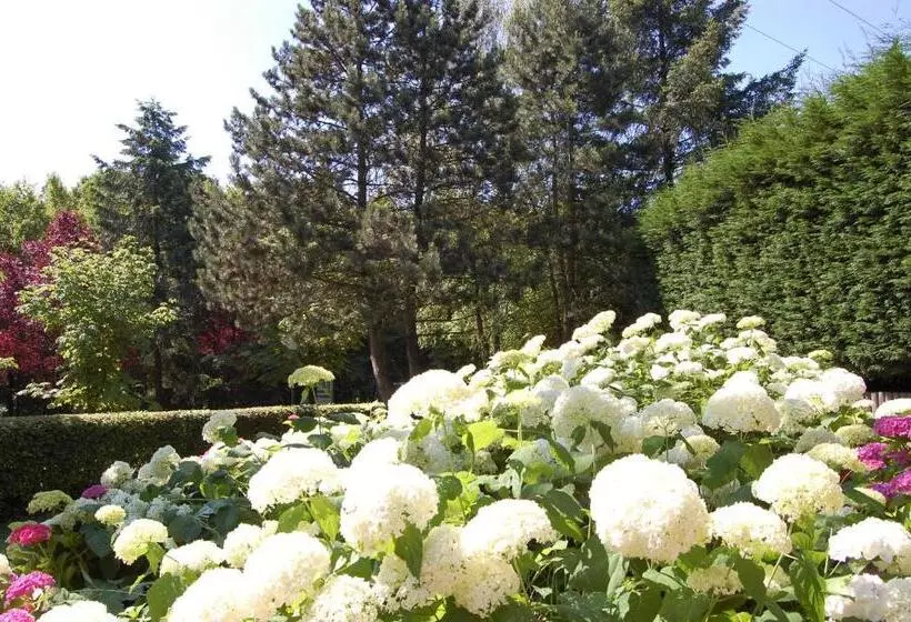 בית מלון כפרי Lerie Waldesruh