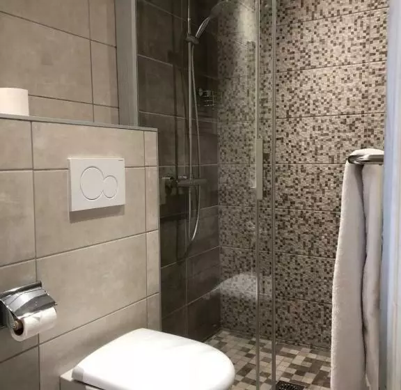 هتل Les Tilleuls Montbeliard Sud Audincourt