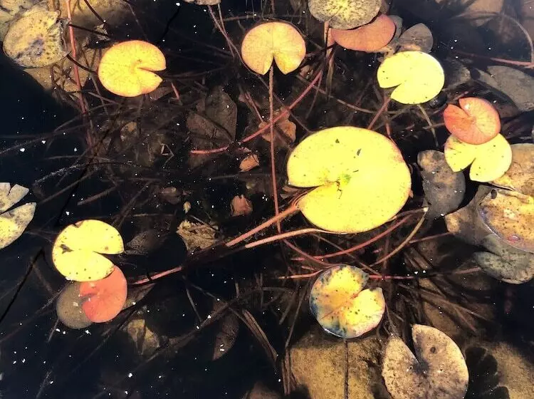 هتل Les Tilleuls Montbeliard Sud Audincourt