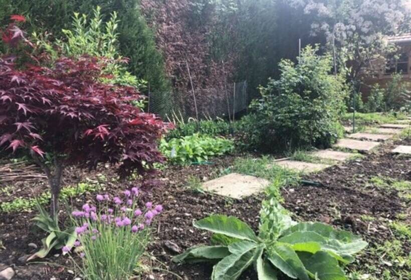 בית מלון כפרי Les Tilleuls Montbeliard Sud Audincourt